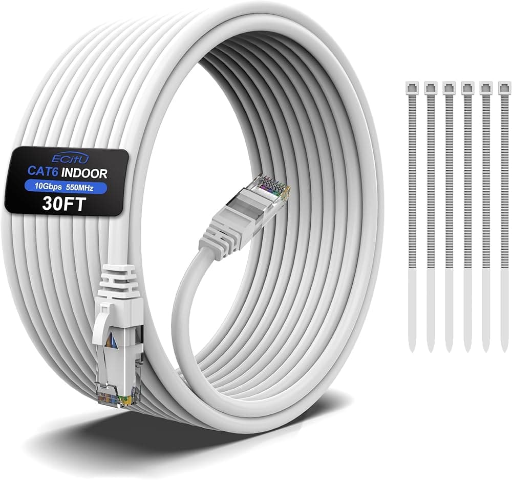 Ethernet Cable 30'